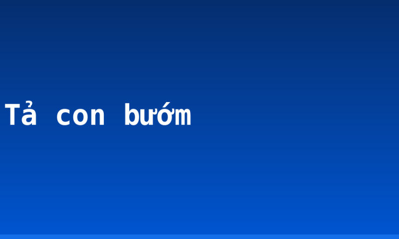 Tả con bướm