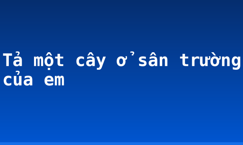 Tả một cây ở sân trường của em