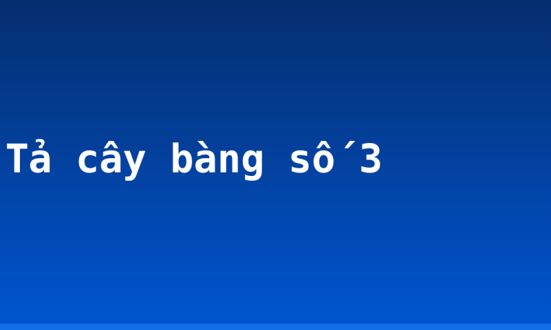 Tả cây bàng số 3