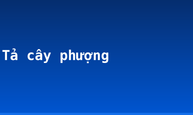 Tả cây phượng