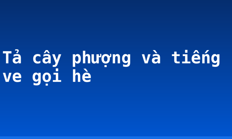 Tả cây phượng và tiếng ve gọi hè
