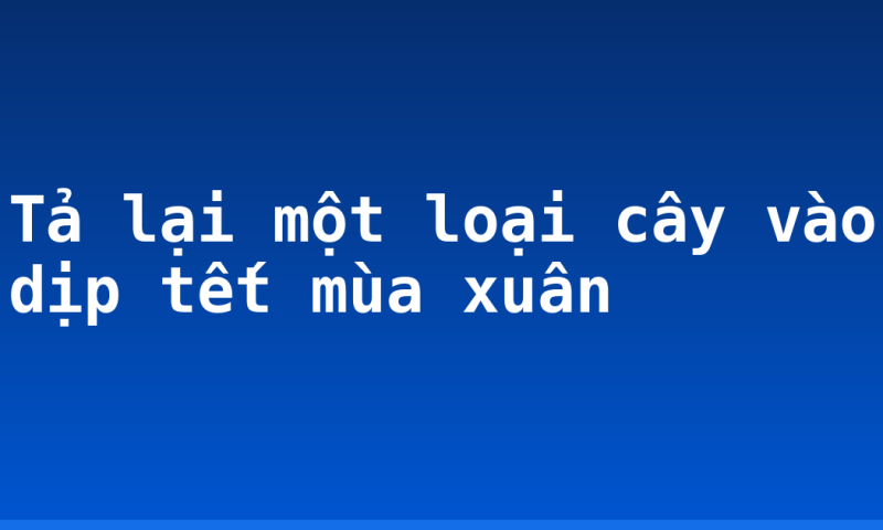 Tả lại một loại cây vào dịp tết mùa xuân
