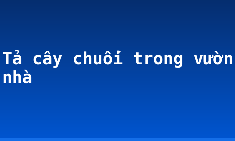Tả cây chuối trong vườn nhà