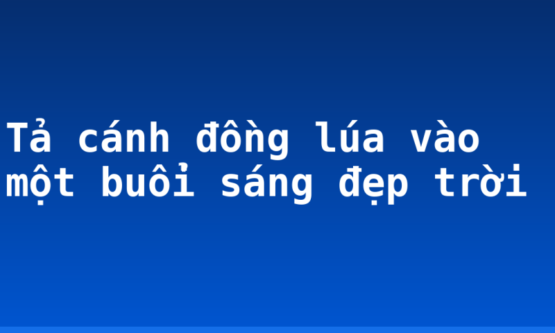 Tả cánh đồng lúa vào một buổi sáng đẹp trời