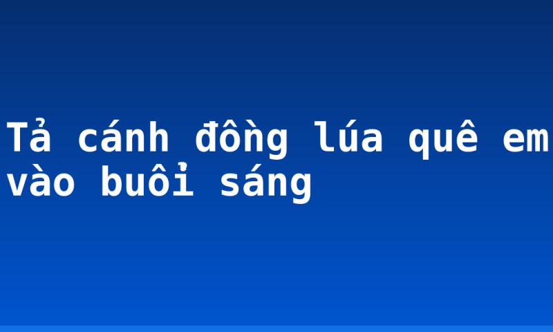 Tả cánh đồng lúa quê em vào buổi sáng