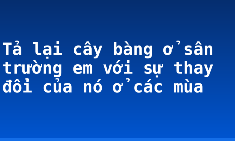 Tả lại cây bàng ở sân trường em với sự thay đổi của nó ở các mùa