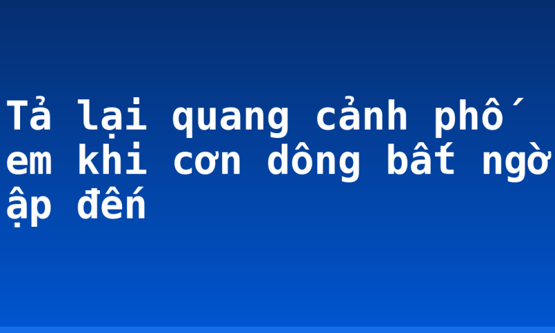 Tả lại quang cảnh phố em khi cơn dông bất ngờ ập đến