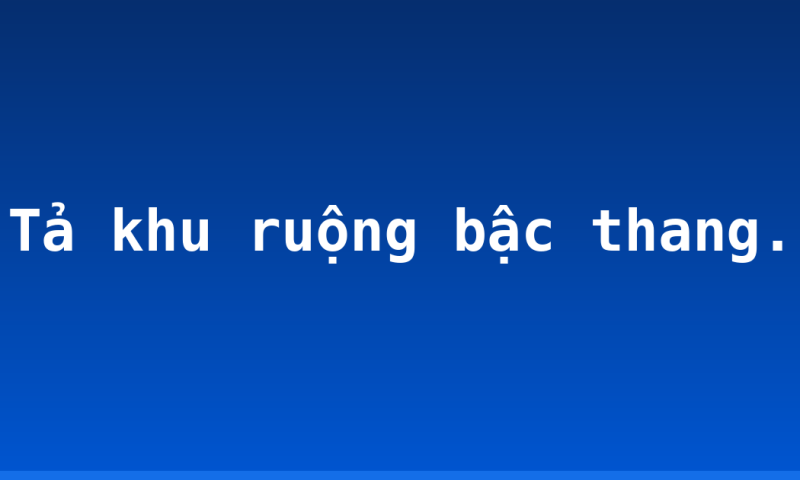 Tả khu ruộng bậc thang.