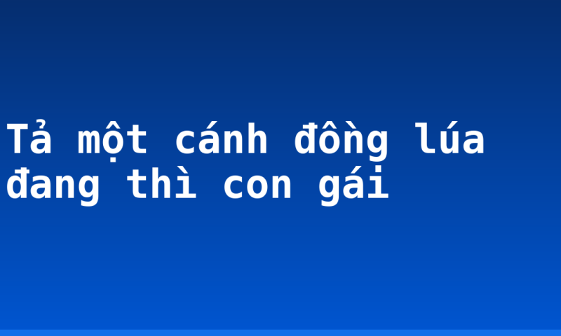 Tả một cánh đồng lúa đang thì con gái