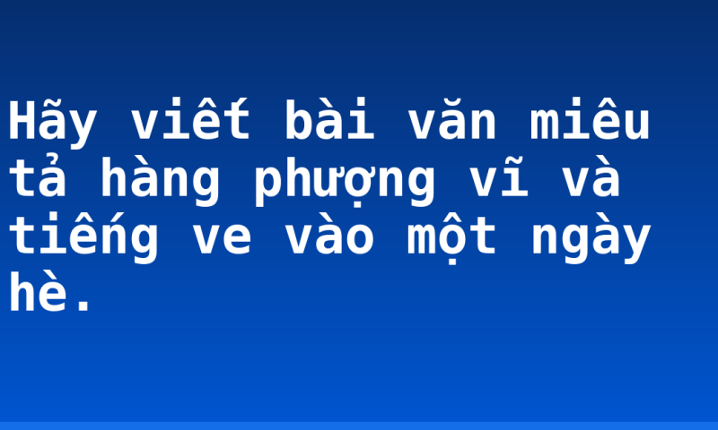 Hãy viết bài văn miêu tả hàng phượng vĩ và tiếng ve vào một ngày hè.