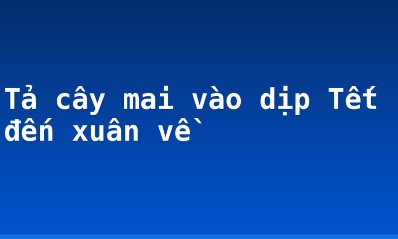 Tả cây mai vào dịp Tết đến xuân về