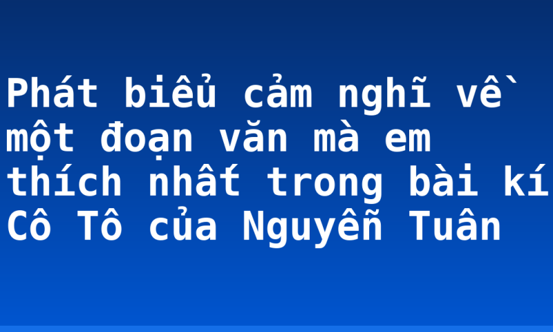 Phát biểu cảm nghĩ về một đoạn văn mà em thích nhất trong bài kí Cô Tô của Nguyễn Tuân