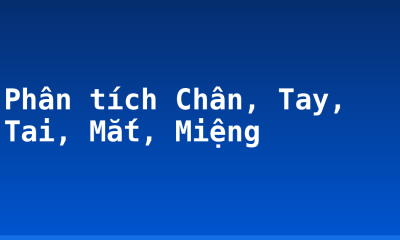 Phân tích Chân, Tay, Tai, Mắt, Miệng