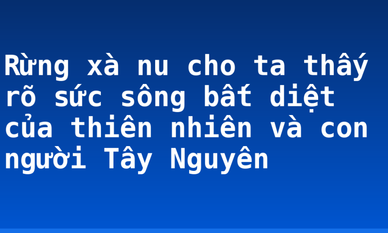 Rừng xà nu cho ta thấy rõ sức sông bất diệt của thiên nhiên và con người Tây Nguyên