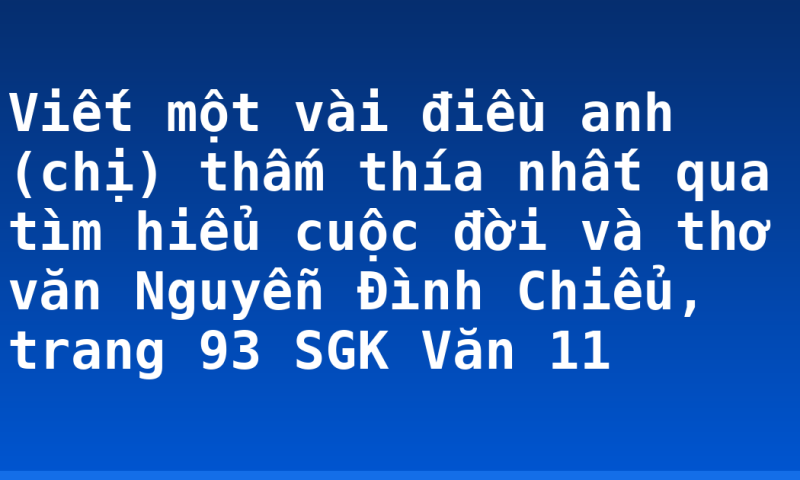 Viết một vài điều anh (chị) thấm thía nhất qua tìm hiểu cuộc đời và thơ văn Nguyễn Đình Chiểu, trang 93 SGK Văn 11