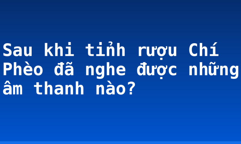Sau khi tỉnh rượu Chí Phèo đã nghe được những âm thanh nào?