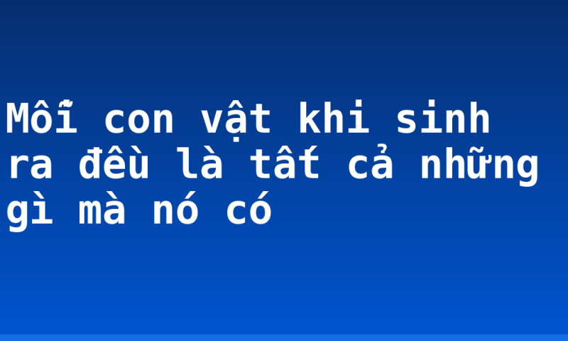 Mỗi con vật khi sinh ra đều là tất cả những gì mà nó có
