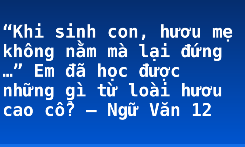 “Khi sinh con, hươu mẹ không nằm mà lại đứng …” Em đã học được những gì từ loài hươu cao cổ? – Ngữ Văn 12