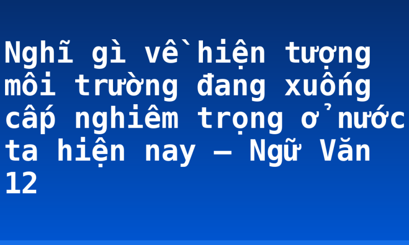 Nghĩ gì về hiện tượng môi trường đang xuống cấp nghiêm trọng ở nước ta hiện nay – Ngữ Văn 12