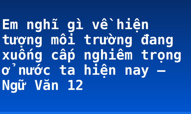 Em nghĩ gì về hiện tượng môi trường đang xuống cấp nghiêm trọng ở nước ta hiện nay – Ngữ Văn 12