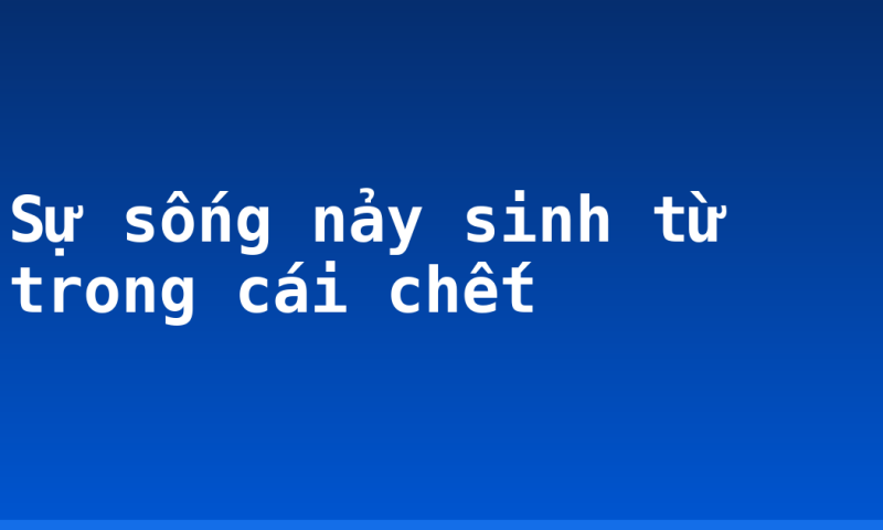 Sự sống nảy sinh từ trong cái chết