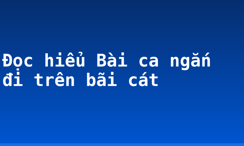 Đọc hiểu Bài ca ngắn đi trên bãi cát