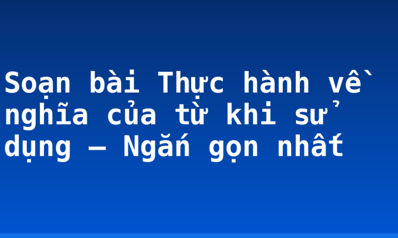 Soạn bài Thực hành về nghĩa của từ khi sử dụng – Ngắn gọn nhất