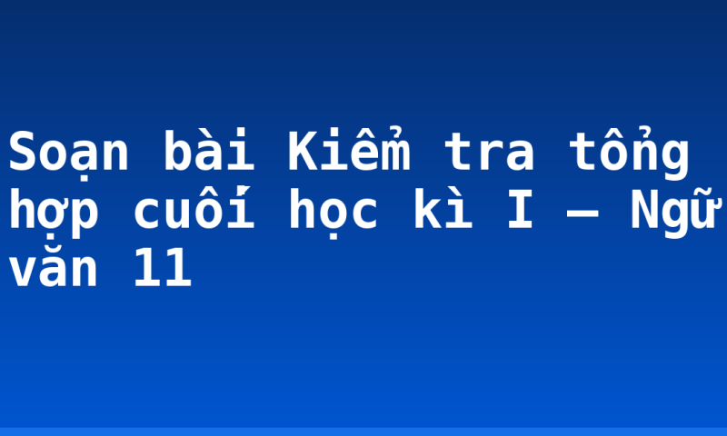 Soạn bài Kiểm tra tổng hợp cuối học kì I – Ngữ văn 11