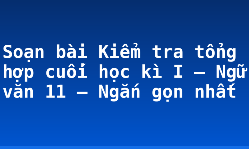 Soạn bài Kiểm tra tổng hợp cuối học kì I – Ngữ văn 11 – Ngắn gọn nhất
