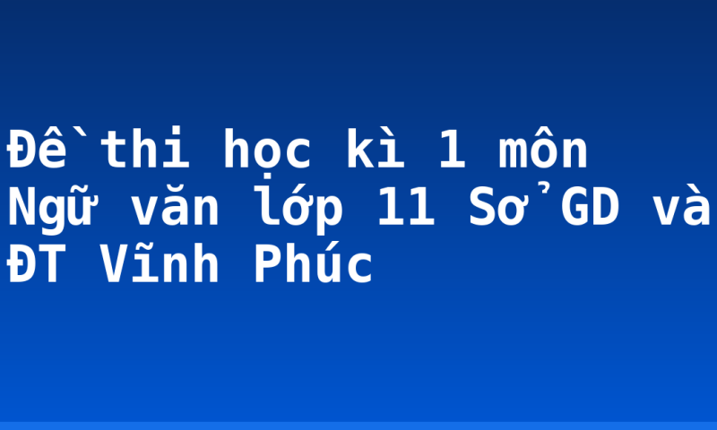Đề thi học kì 1 môn Ngữ văn lớp 11 Sở GD và ĐT Vĩnh Phúc