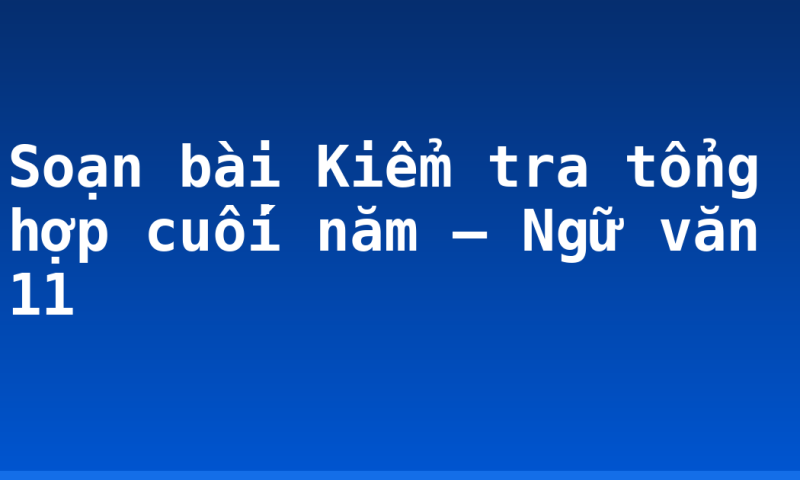 Soạn bài Kiểm tra tổng hợp cuối năm – Ngữ văn 11