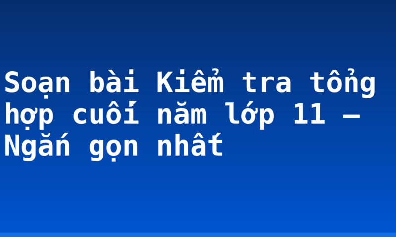 Soạn bài Kiểm tra tổng hợp cuối năm lớp 11 – Ngắn gọn nhất