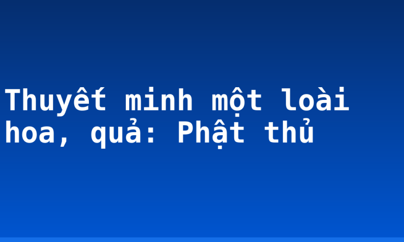 Thuyết minh một loài hoa, quả: Phật thủ