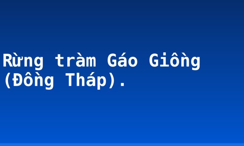 Rừng tràm Gáo Giồng (Đồng Tháp).