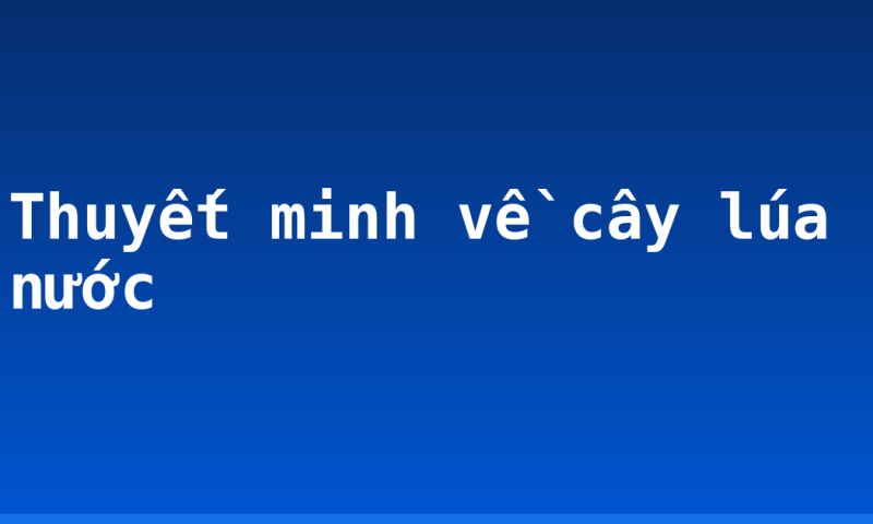 Thuyết minh về cây lúa nước