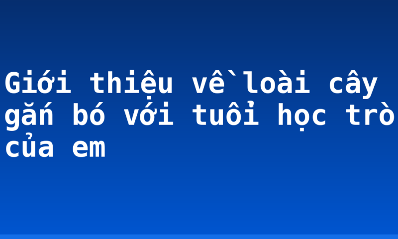 Giới thiệu về loài cây gắn bó với tuổi học trò của em