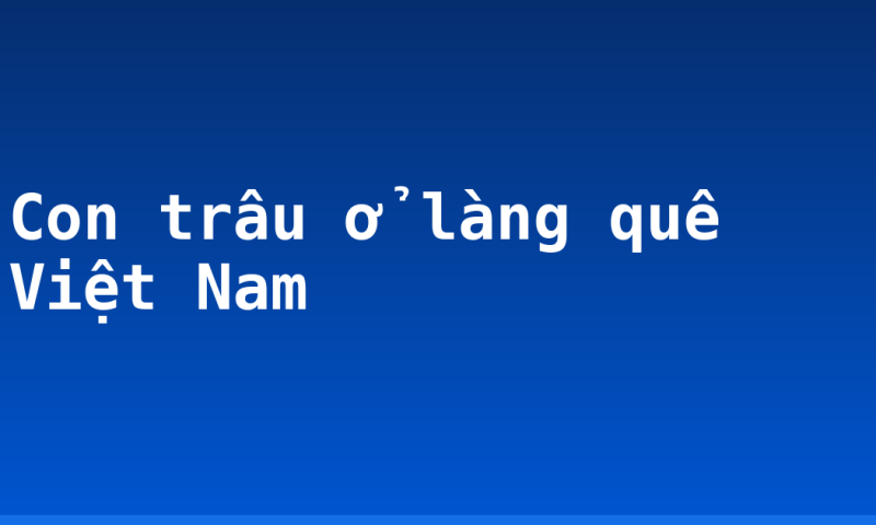 Con trâu ở làng quê Việt Nam