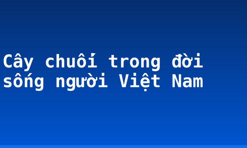 Cây chuối trong đời sống người Việt Nam