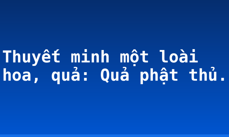 Thuyết minh một loài hoa, quả: Quả phật thủ.