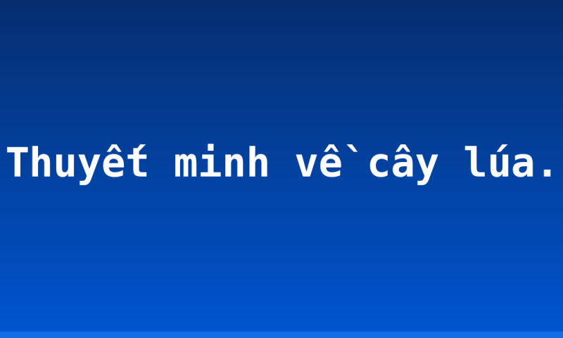 Thuyết minh về cây lúa.