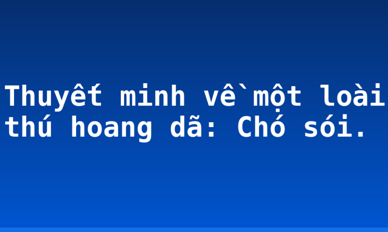 Thuyết minh về một loài thú hoang dã: Chó sói.
