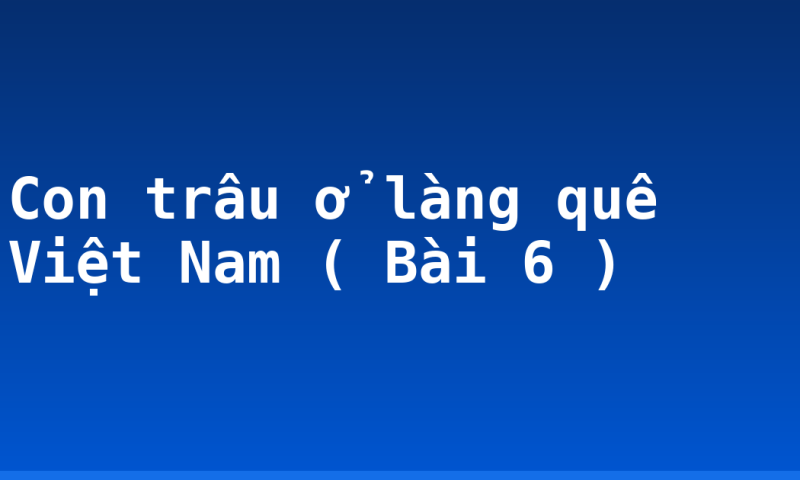 Con trâu ở làng quê Việt Nam ( Bài 6 )
