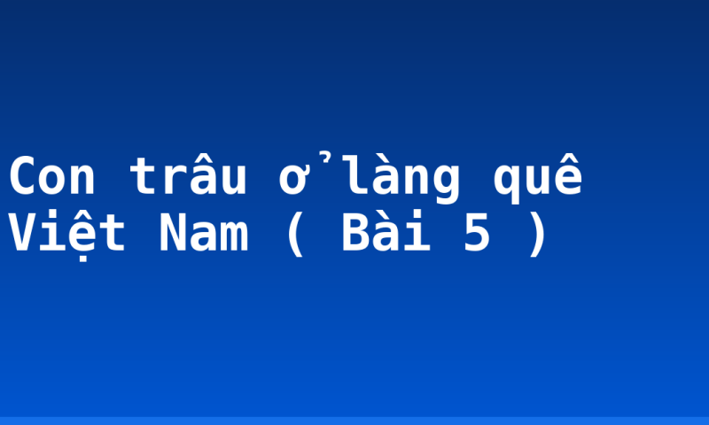 Con trâu ở làng quê Việt Nam ( Bài 5 )