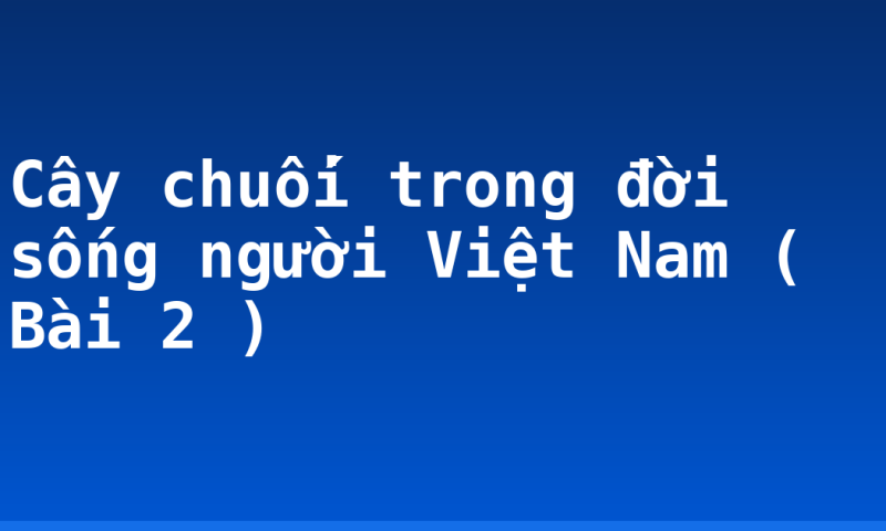 Cây chuối trong đời sống người Việt Nam ( Bài 2 )