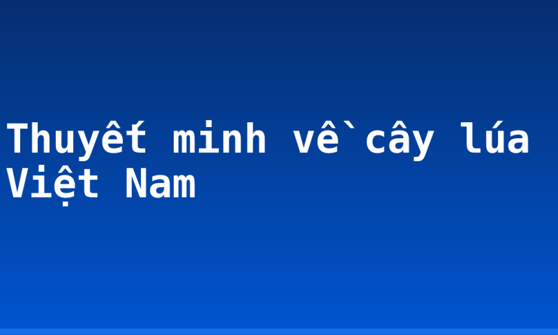 Thuyết minh về cây lúa Việt Nam