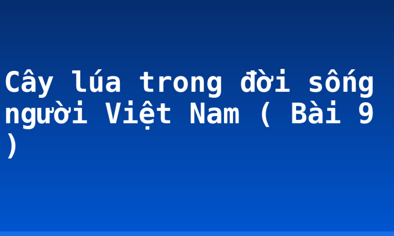 Cây lúa trong đời sống người Việt Nam ( Bài 9 )
