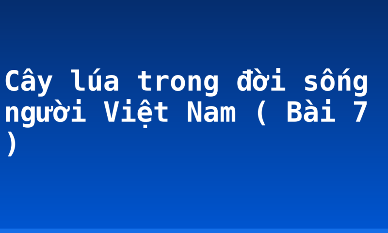 Cây lúa trong đời sống người Việt Nam ( Bài 7 )