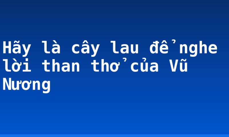 Hãy là cây lau để nghe lời than thở của Vũ Nương