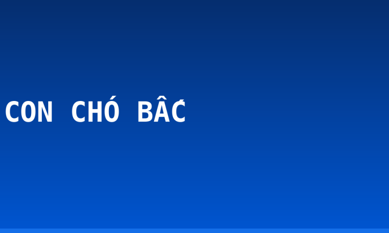 CON CHÓ BẤC