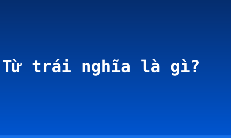 Từ trái nghĩa là gì?